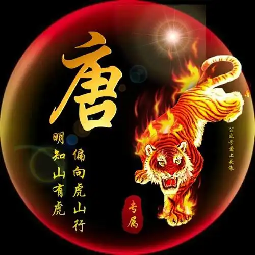 姓氏头像 | 老虎版 明知山有虎 偏向虎山行