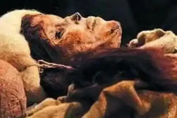 貂蝉古尸复原图让人不寒而栗,一张十分平庸的脸(让人失望)