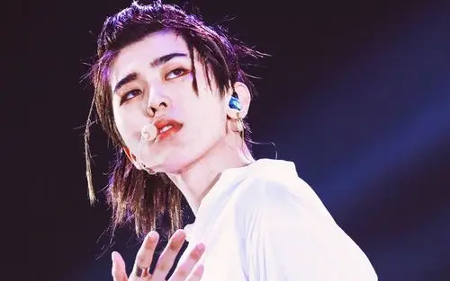 酷帅有型蔡徐坤舞台写真,高清图片,电脑桌面-壁纸族