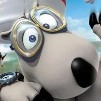 倒霉熊头像图片大全可爱_微信头像图片大全