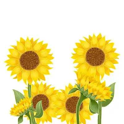 彩色手绘卡通向日葵叶子花草花丛元素png素材
