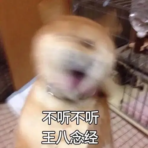 搞笑表情包大全