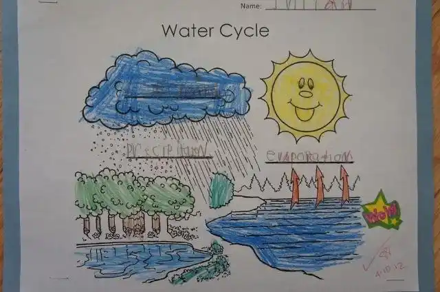 国际日的作业,画自己国家的国旗父亲节的作业发现这边还是很重视自然