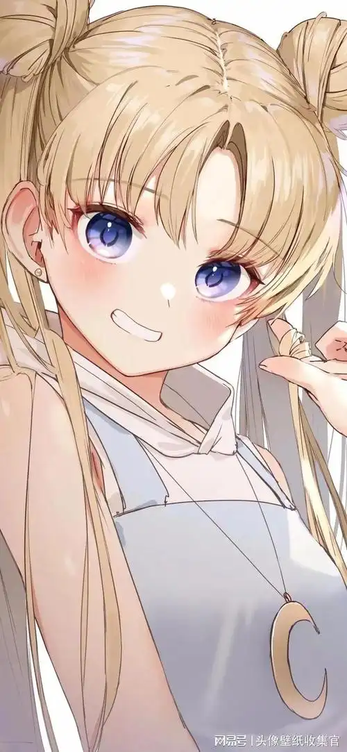 抖音热门壁纸推荐你是vip