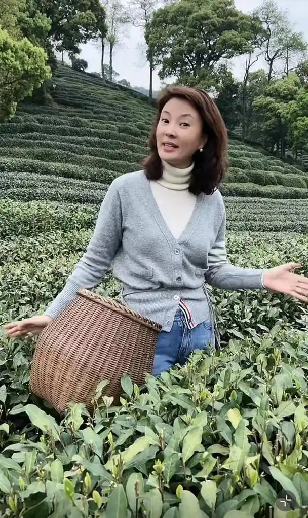 央视主持人刘芳菲穿万元针织衫,下农场,干农活,这是在炫富?