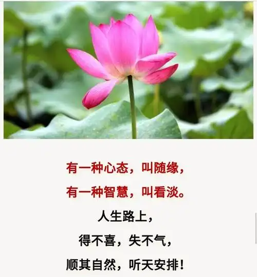 人生路上,得不喜,失不气,一切看淡,一切随缘