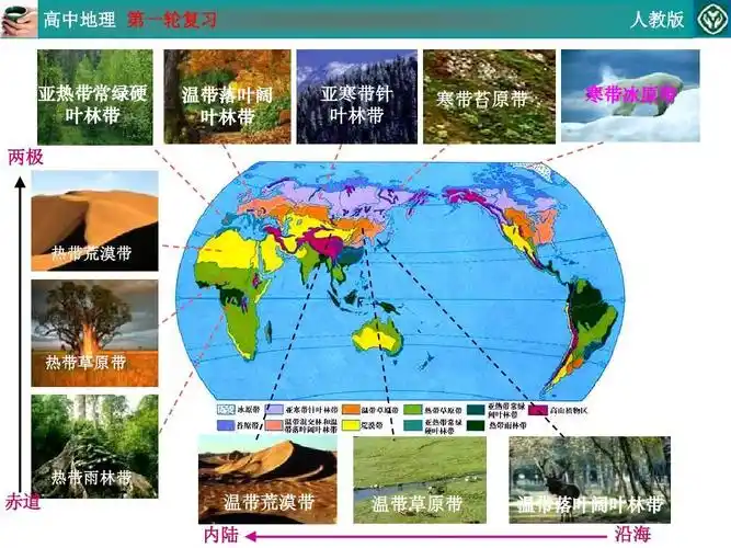 林带 亚寒带针 叶林带 寒带苔原带 寒带冰原带 热带荒漠带 热带草原带