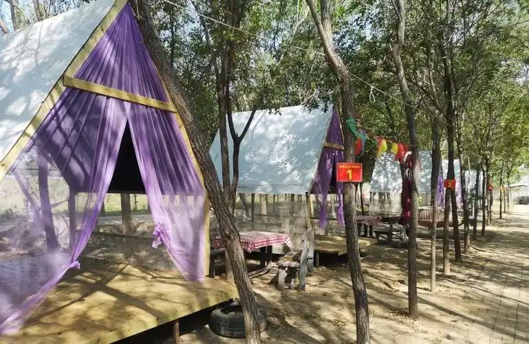 衡水湖线路大白乡万亩油菜花海:大白乡以花为媒介,积极打造农村旅游的