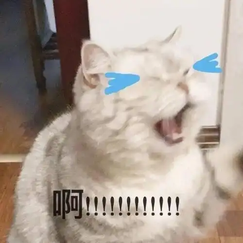 沙雕表情包沙雕猫猫表情包