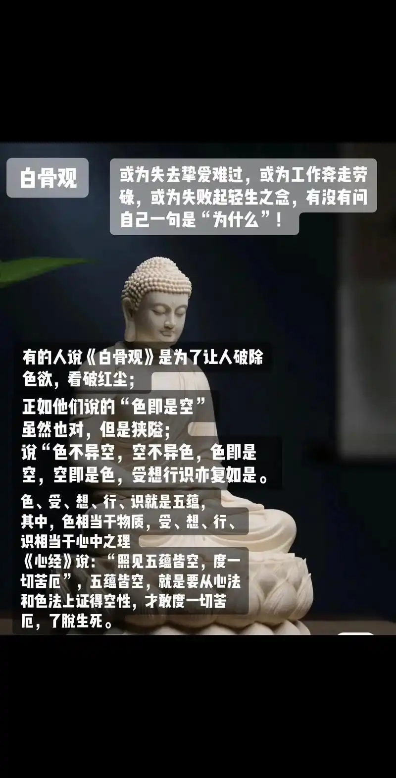 白骨观.有的人说《白骨观》是为了让人破除色欲,看破红尘; 正 - 抖音