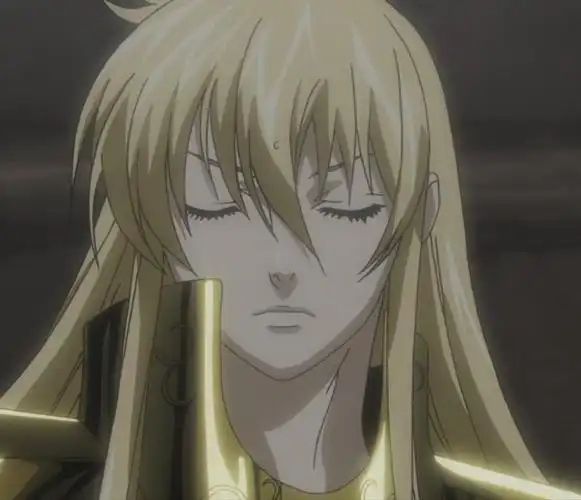 圣斗士冥王神话处女座的图片 最好是qq头像