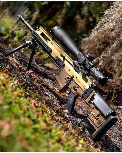 轻武器欣赏系列枪械美图一组喜欢的看一看