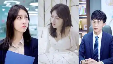 秘书小七:小七意外遇见学长,老板与学长瞬间剑拔弩张,羡慕小七