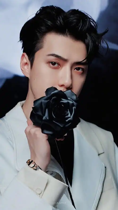 吴世勋电视剧现在正在分手中##吴世勋出演电影海盗2