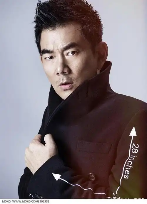 越来越有魅力的任贤齐