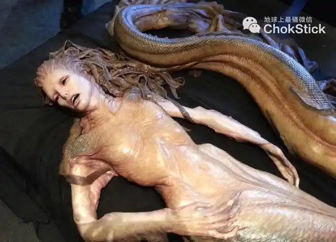 夏威夷海滩上发现的美人鱼究竟是怎么回事