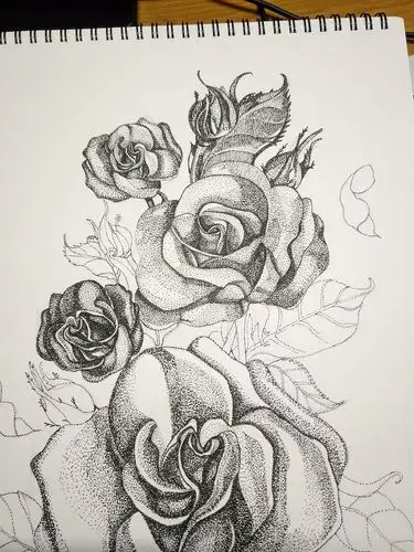 点绘玫瑰