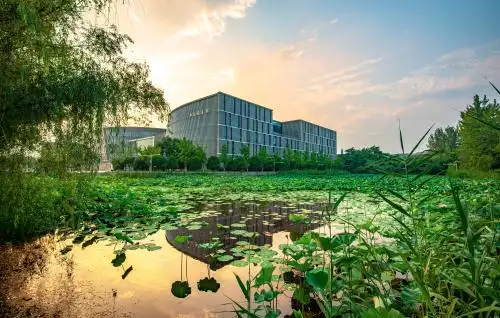 南京大学校园 南京