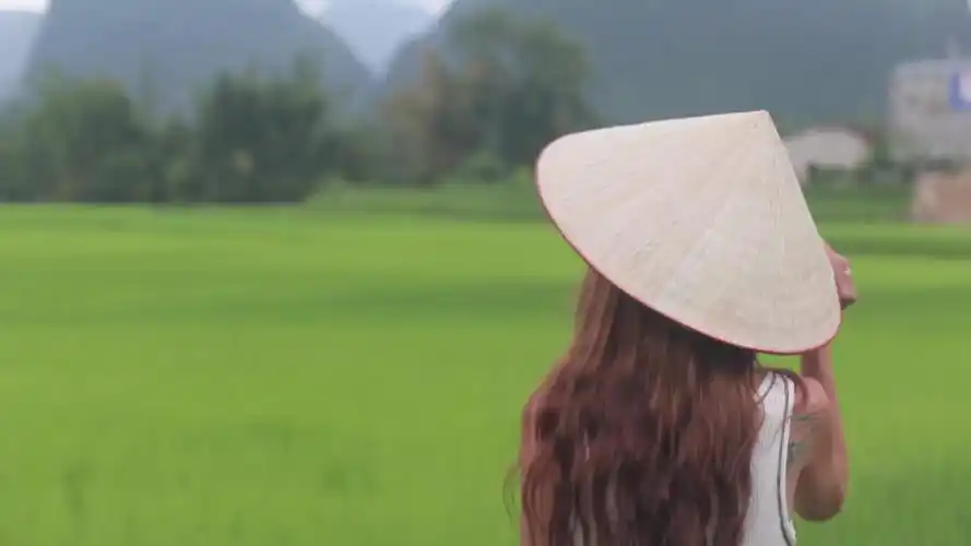 当年神仙打架的歌曲之一,《周慧敏-最爱》,听过吗?