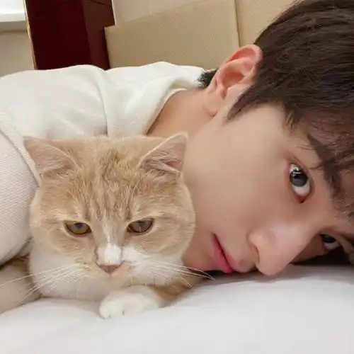 好看男生头像真人头像图片让你心动的男头