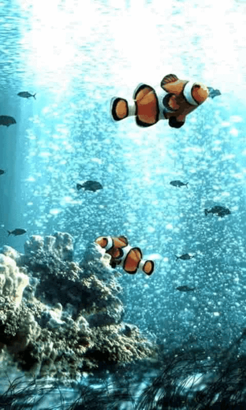 600_1000竖版 竖屏gif 动态图 动图