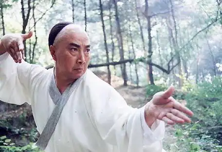 蒙城儿女多奇志,忽雷太极惊神州_驿站_才府