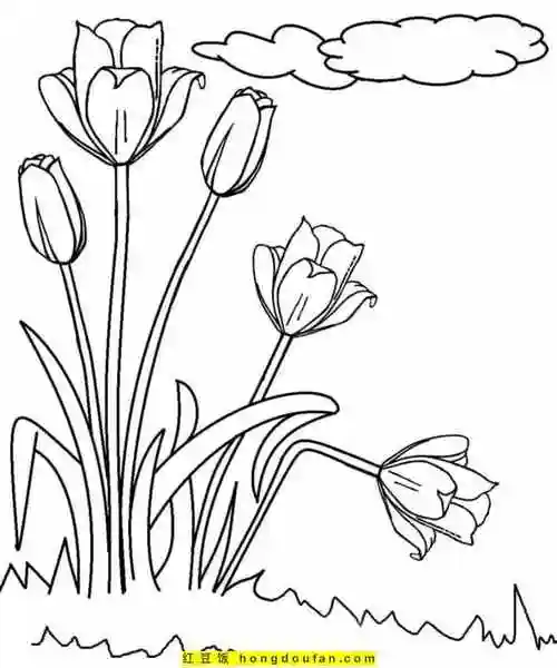 红豆饭小学生简笔画大全