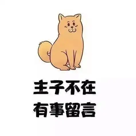 稳, 这考研头像太好用了!