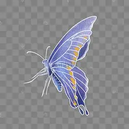 水彩动物蓝色蝴蝶