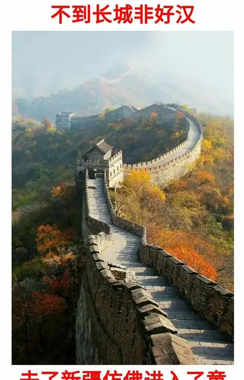 大好山河,悦目芬芳.