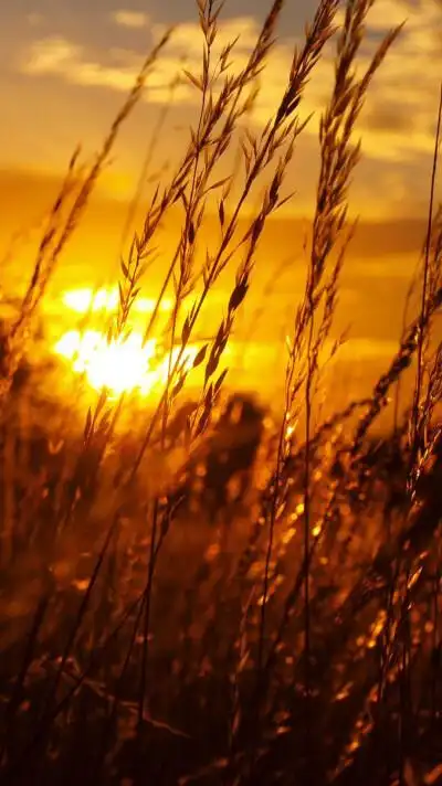 秋天风景漫画图片 - 堆糖,美图壁纸兴趣社区