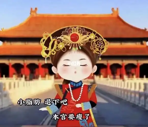 小脂肪 退下吧本宫要瘦了