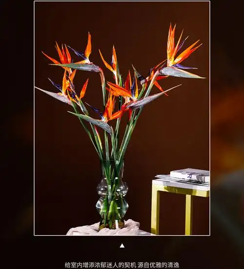 天堂鸟鲜花花束鹤望兰鲜花真花水养居家室内观赏佳品花期超长 a级2支