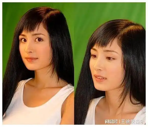 杨幂邓超金星演的什么电影_杨幂金星秀_杨幂邓超金星电影