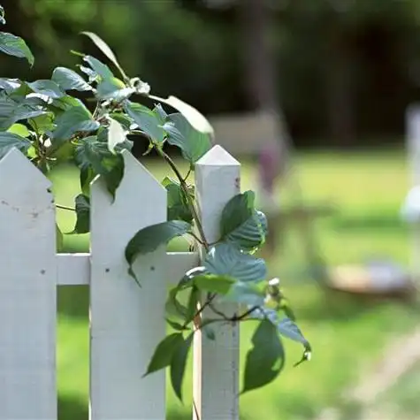 花草风景头像大全图片真实微笑拥抱每一天唯美头像