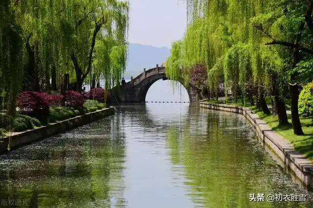 柳絮纷飞的唯美句子柳絮的古诗