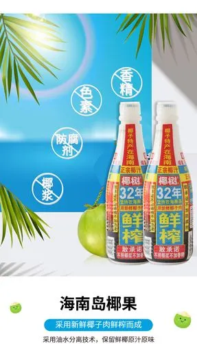 椰树椰汁植物蛋白饮料125l