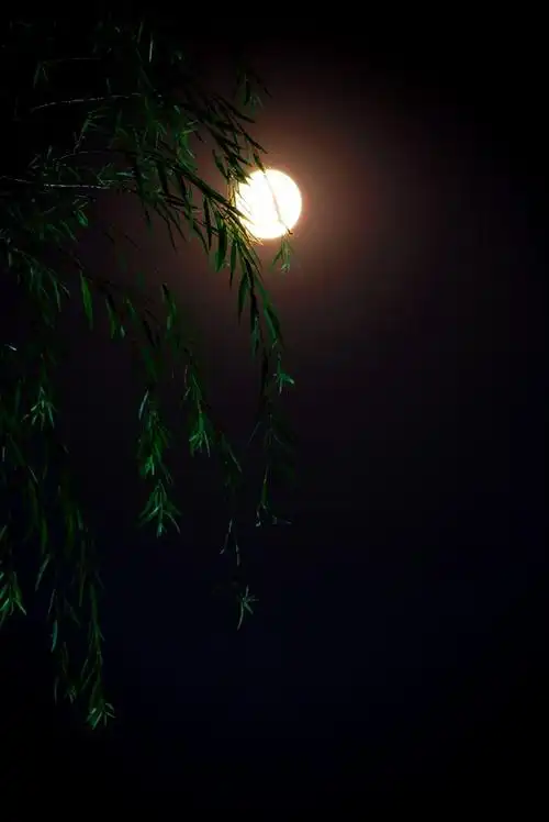 小三角  12楼xishan803 不错!    厚颜跟一张去年中秋的月亮,请多指点