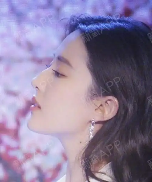 虽然侧面不好看是多方面造成的,只靠鼻子不能完全挽救,但是也有质的