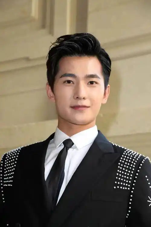 2007年,因在李少红版《红楼梦》中饰演成年贾宝玉而踏入影视圈.