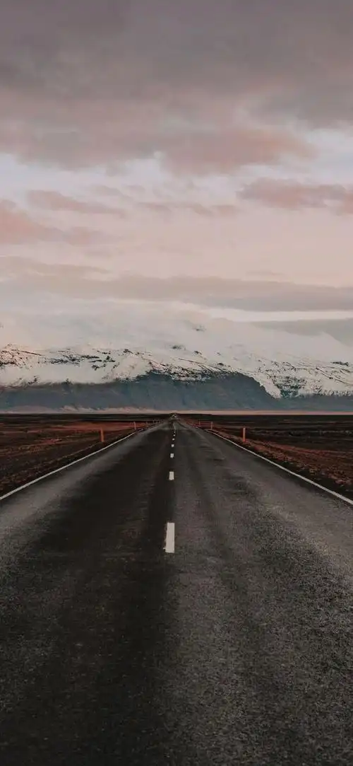 壁纸丨超治愈超干净的壁纸