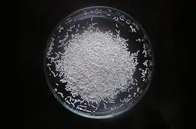 固体分散体技术