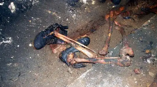 斯洛文尼亚惊现恐怖万人坑 血色迷雾有待揭开(组图)