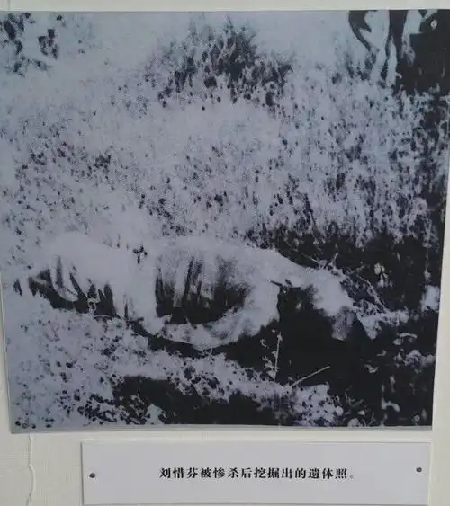 1949年厦门临解放前夕革命先烈刘惜芬被杀害后的遗体时年25岁