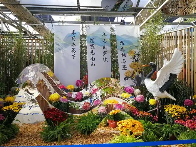 室内布置清新典雅.