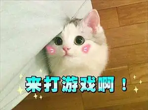 来打游戏啊 - 萌猫qq表情包_qq表情包_微信表情包表情