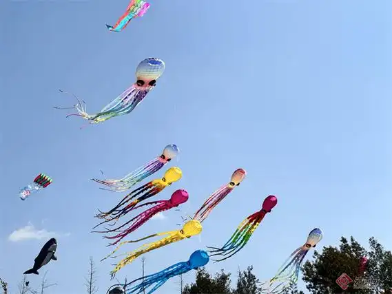第三届昆明市大众风筝户外运动嘉年华在阳宗海华侨城举办_文娱_云南频