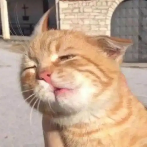 头像丨好玩又搞笑的大病头像