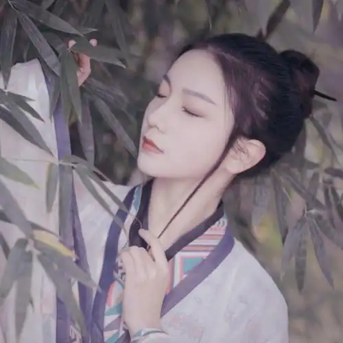 "庭叶翻翻秋向晚,凉砧敲月催金剪." 古风/汉服/女生头像