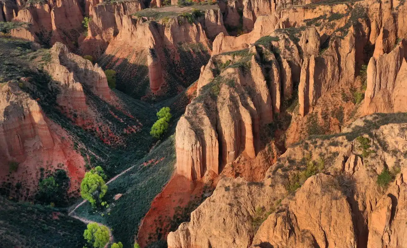 (美丽中国)秋染黄土地